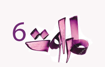 فصل اول آموزش مربیان